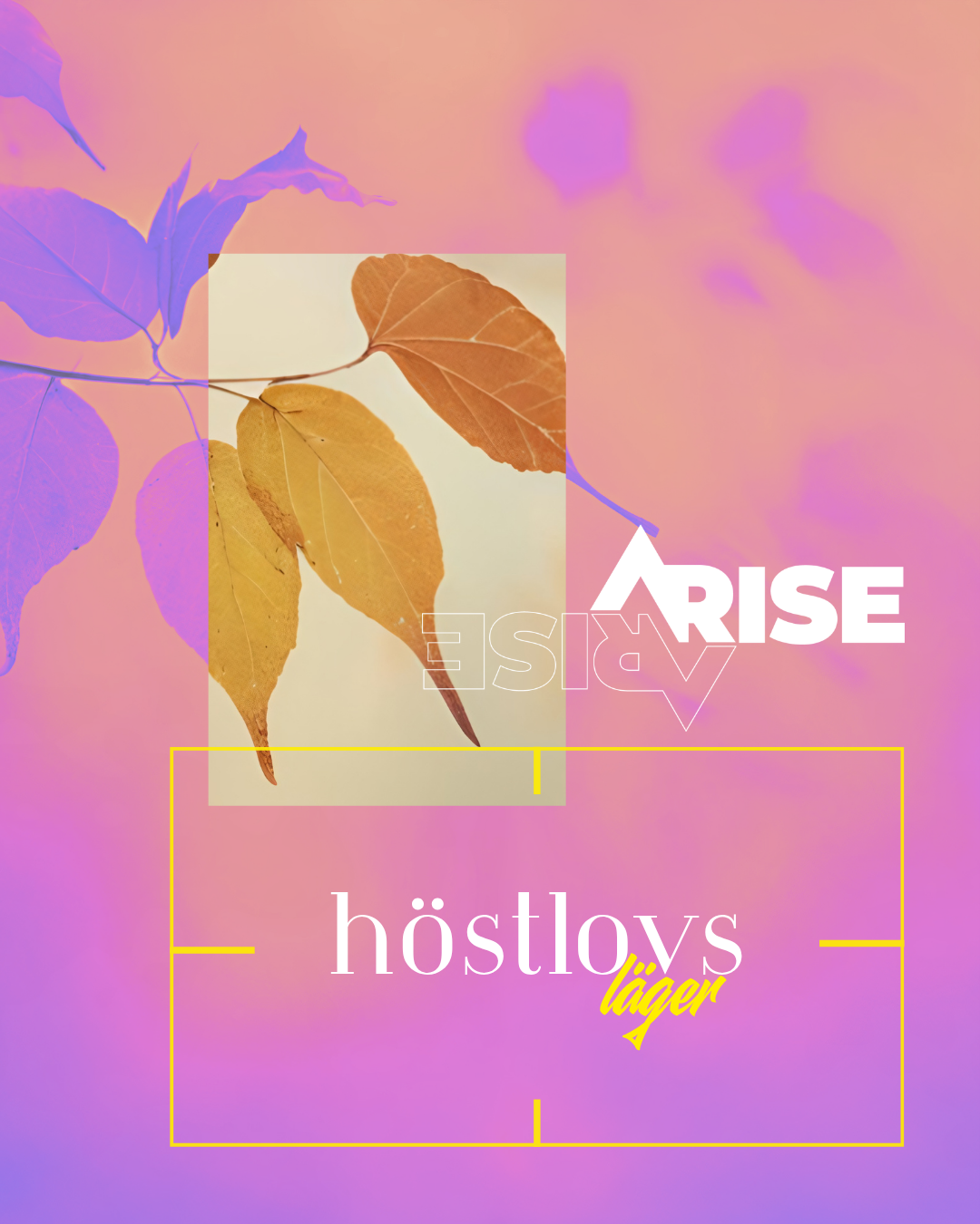 Höstlovs-läger